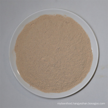 Air Dried Shiitake Mushroom Powder